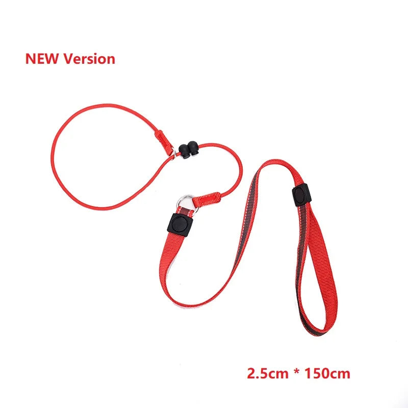 2-in-1 Slip Lead Dog Training Leash & Collar | 150cm Nylon