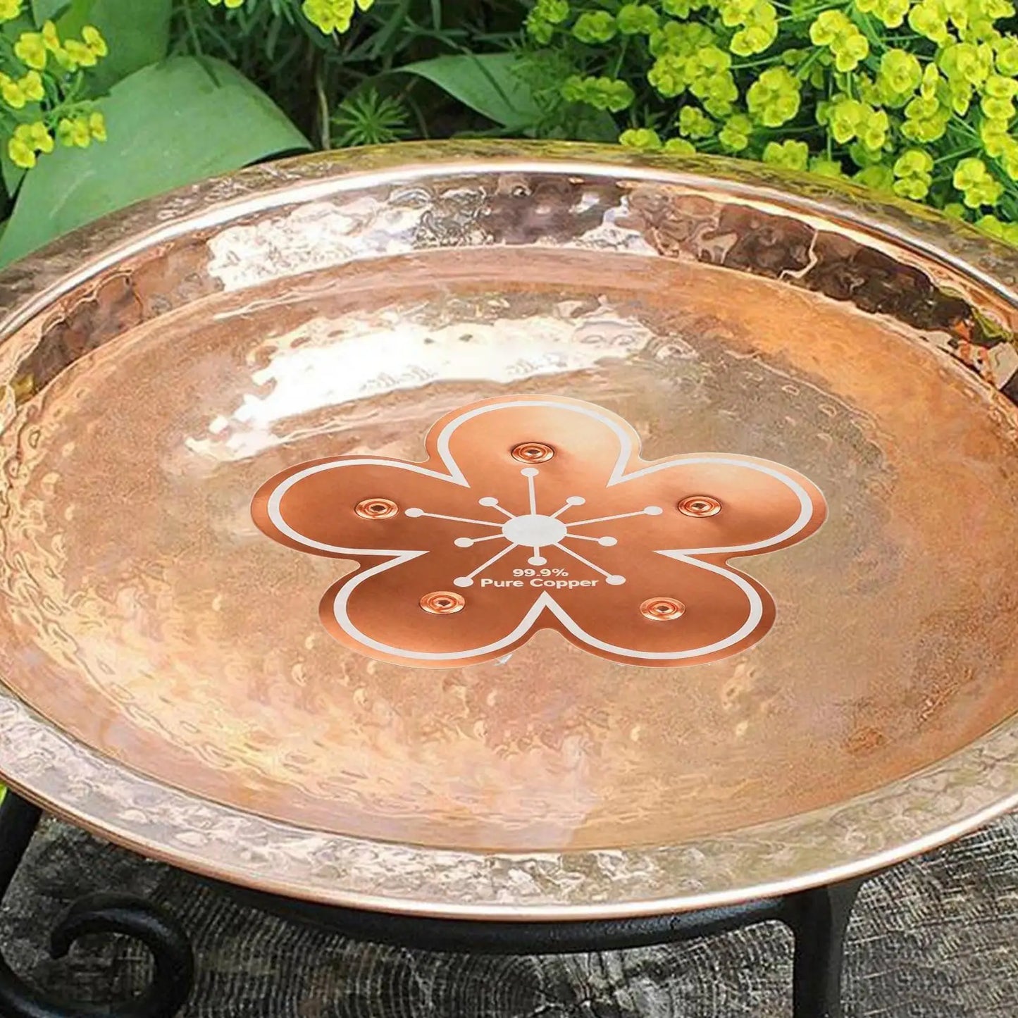 Bird Bath Water Purifier Copper Purification All-Season Physical Safe Copper Disk Bird Bath Insert for Homeowners Gardeners Peaceful Pleasures Health and Wellness
