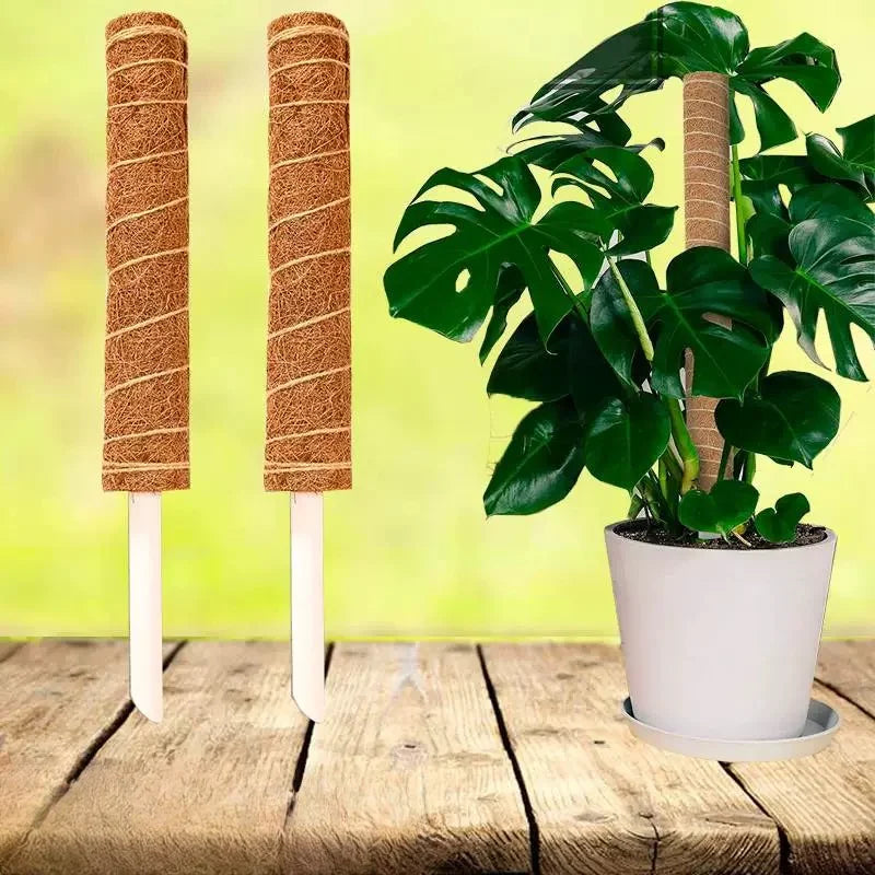 Green Basket Climbing Column Coconut Brown Rod Turtle Back Bamboo Support Rod Fixing Bracket Peaceful Pleasures Health and Wellness