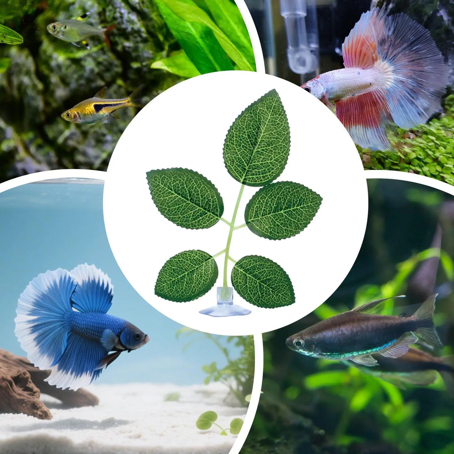Betta Fish Leaf Hammock with Suction Cup | Aquarium Decor