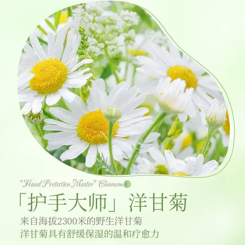 500g Chamomile Hand Cream – Moisturizing, Non-Greasy