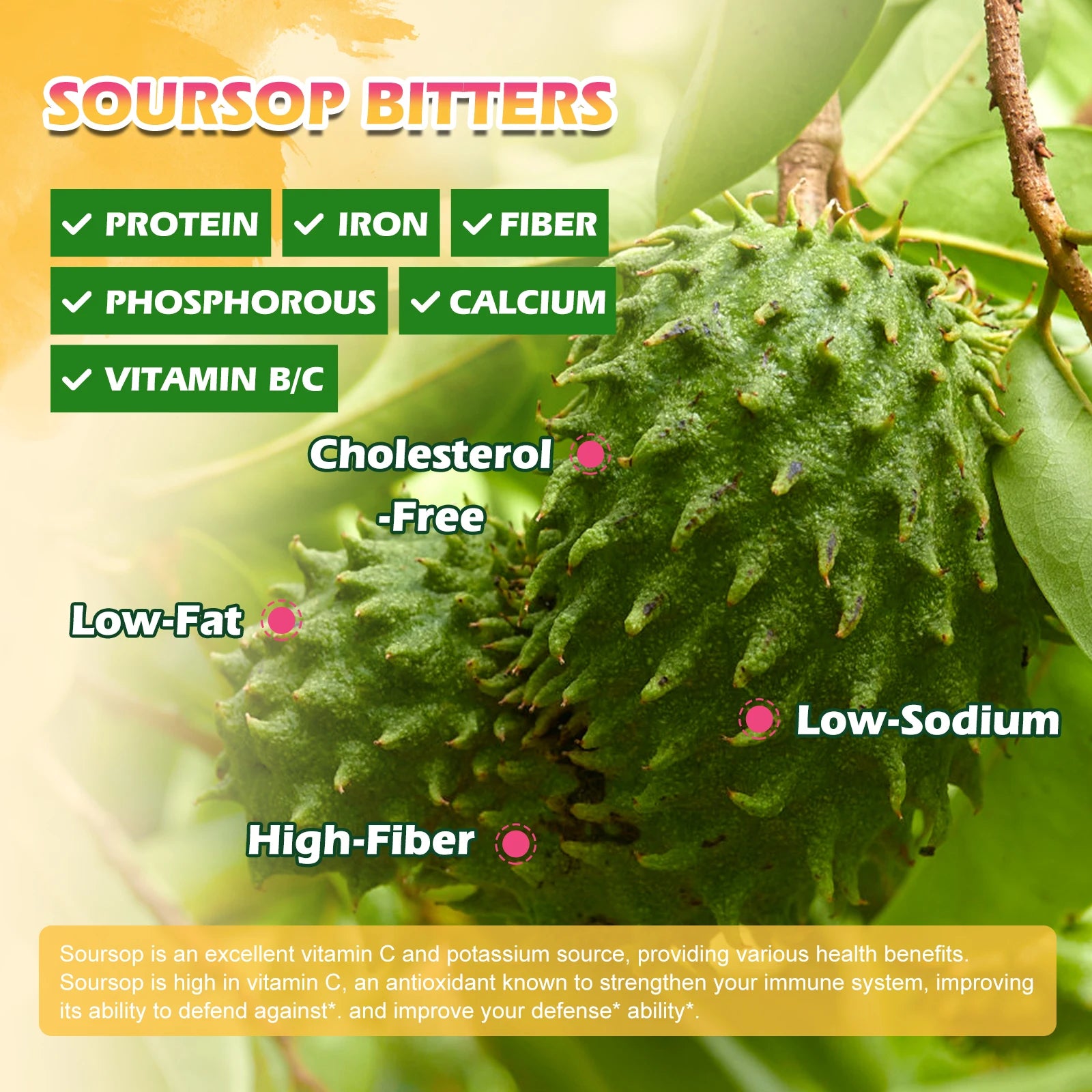 Soursop Graviola & Black Seed Oil Drops 60ml – Immunity & Kidney Support Peaceful Pleasures Health and Wellness