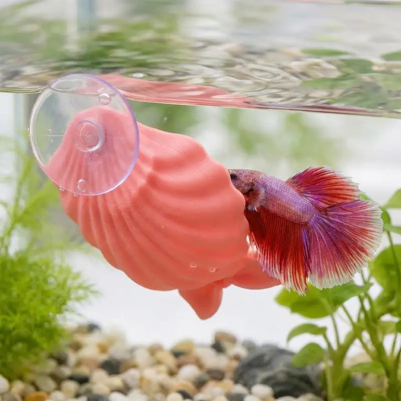 Shell Shaped Betta Feeding Dish with Suction Cup | Tank Decor Aquarium Feeding Tray Peaceful Pleasures Health and Wellness