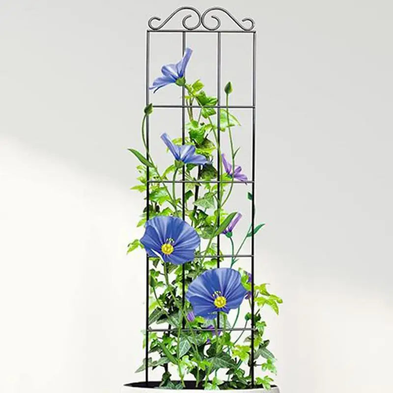 Metal Plant Trellis for Potted Plants – Vine Climbing Support Stake