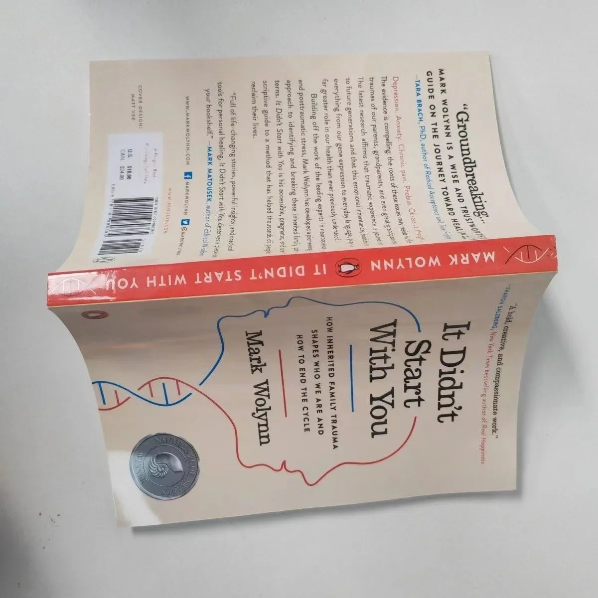 It Didn't Start You Mark Wolynn How Inherited Family Trauma Shapes
