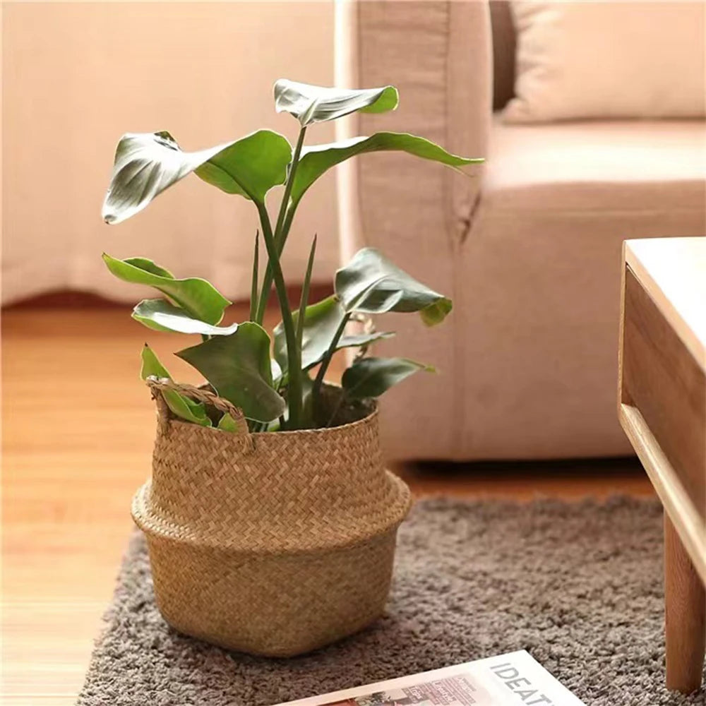 Handwoven Seagrass Plant Basket with Handles | Home Decor