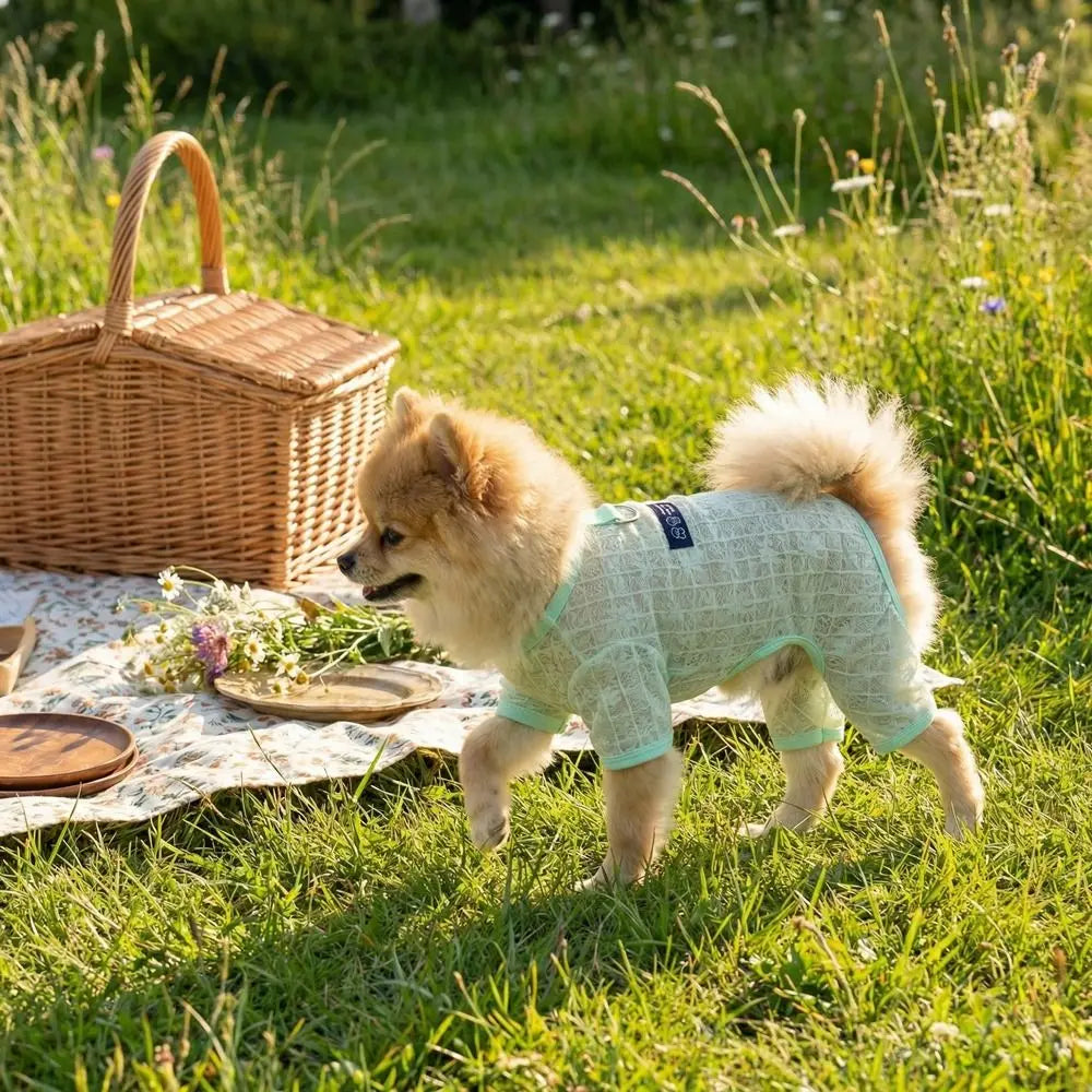 Breathable Mesh Dog Cooling Jumpsuit | Flower Print Sun Cover
