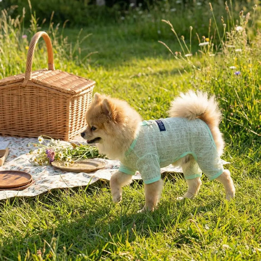 Breathable Mesh Dog Cooling Jumpsuit | Flower Print Sun Cover Dog Cooling Jumpsuit Peaceful Pleasures Health and Wellness