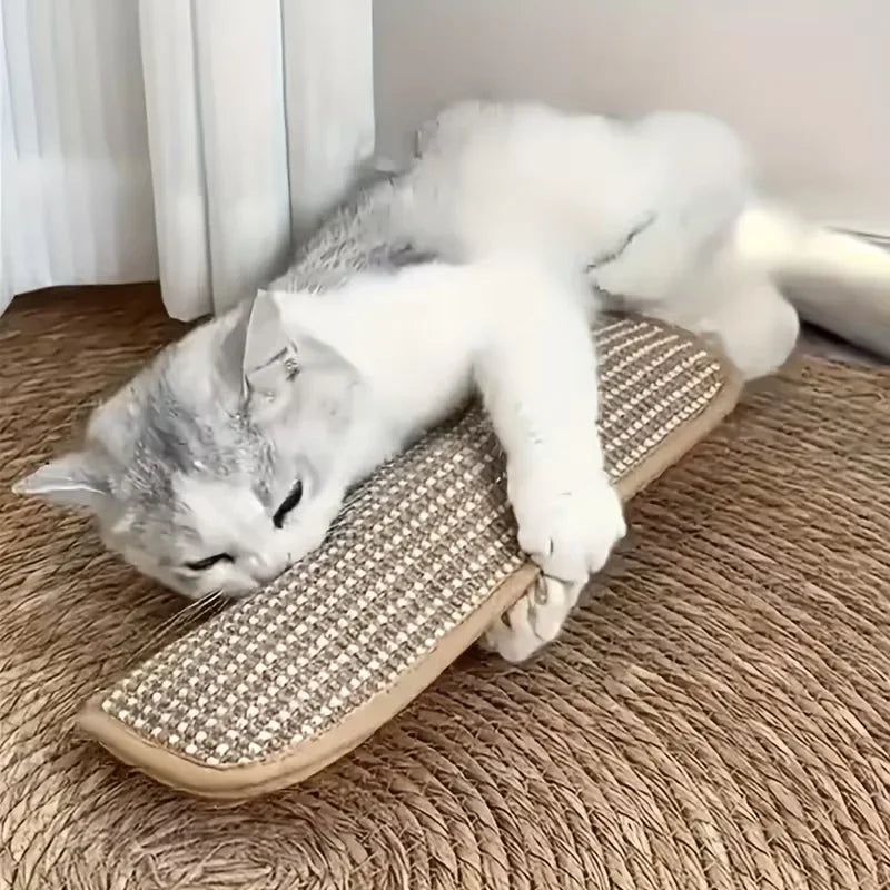 Cat Toy Pillow & Sisal Scratching Pad – Solo & Interactive Play