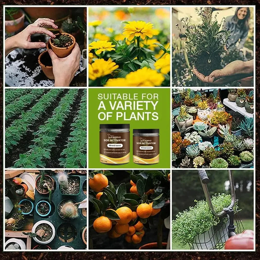 Mineral Source Soil Conditioner Universal Plant Fertilizer For Seedling Growth & Rooting Gardening Essential For Indoor Outdoor Peaceful Pleasures Health and Wellness