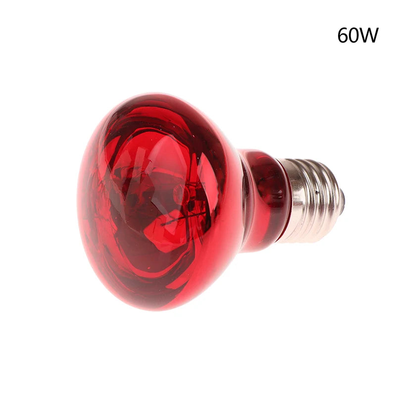 Reptile UVA Heating Bulb E27 | 25W–100W Basking & Night Heat