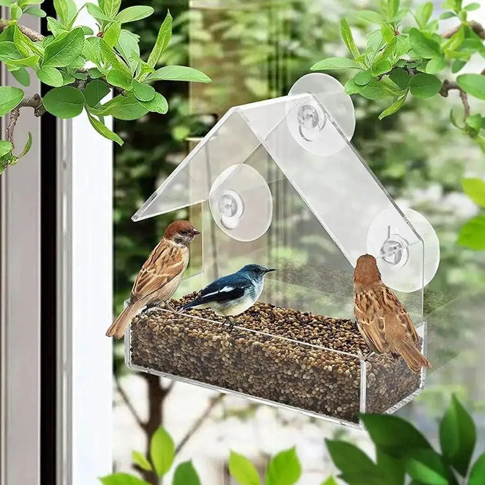 Acrylic Bird Feeder with Suction Cup for Wildlife Peaceful Pleasures Health and Wellness