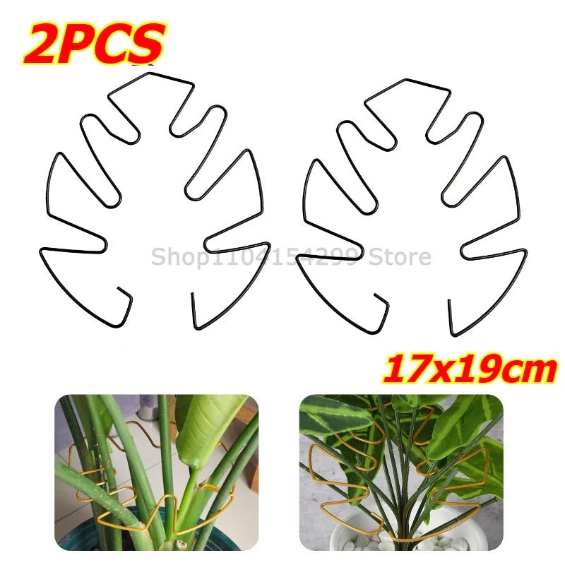 Large Monstera Plant Support Frame – Stem Climbing Stabilizer