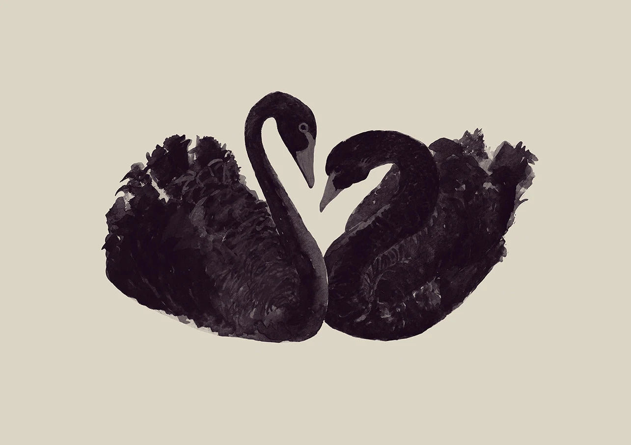 Antique Swan Watercolor Canvas Wall Art | Farmhouse Decor