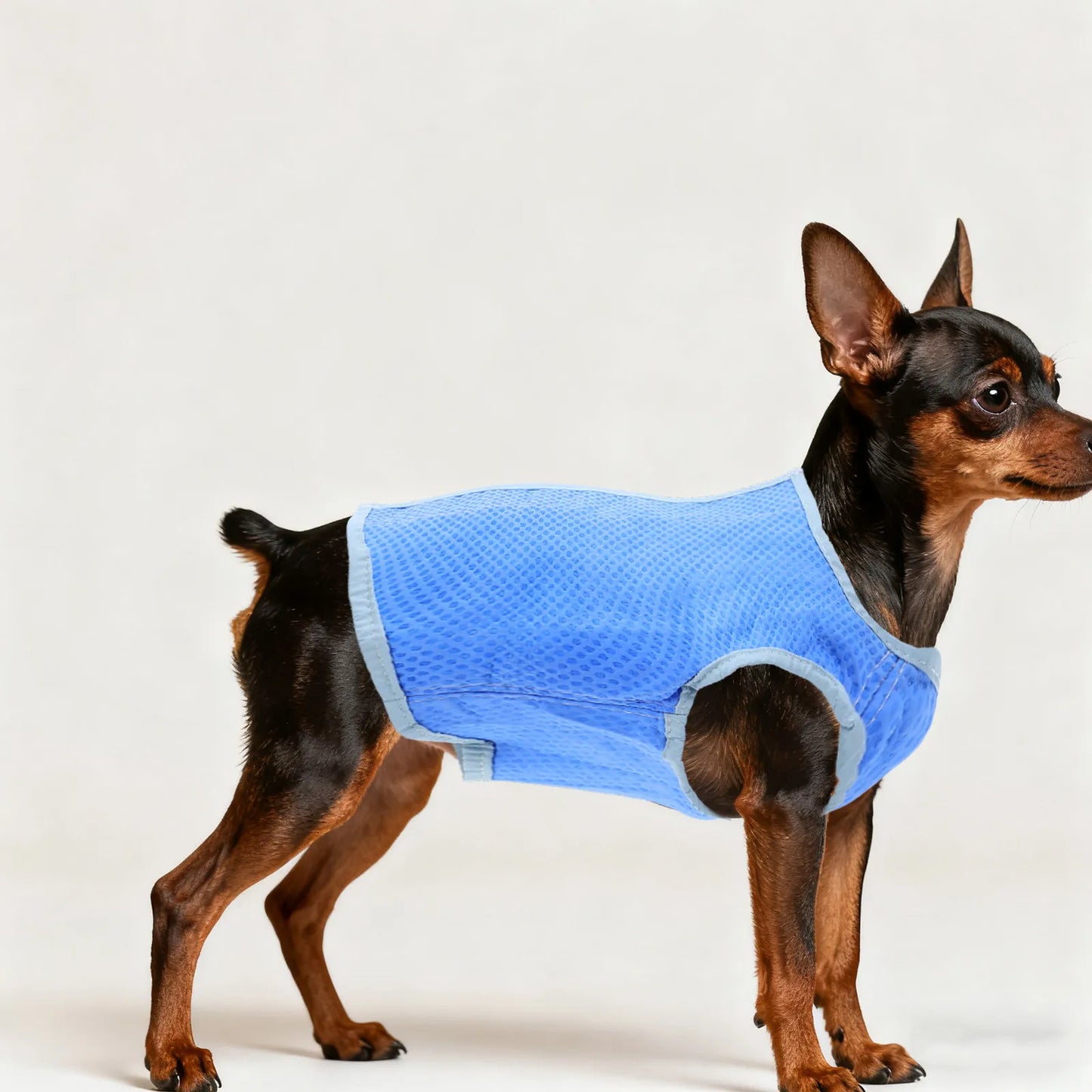 Dog Cooling Vest Ice Mesh Harness Size S Blue Superior Pva Lightweight Breathable Washable Reusable Cooling Shirt for Dogs Peaceful Pleasures Health and Wellness