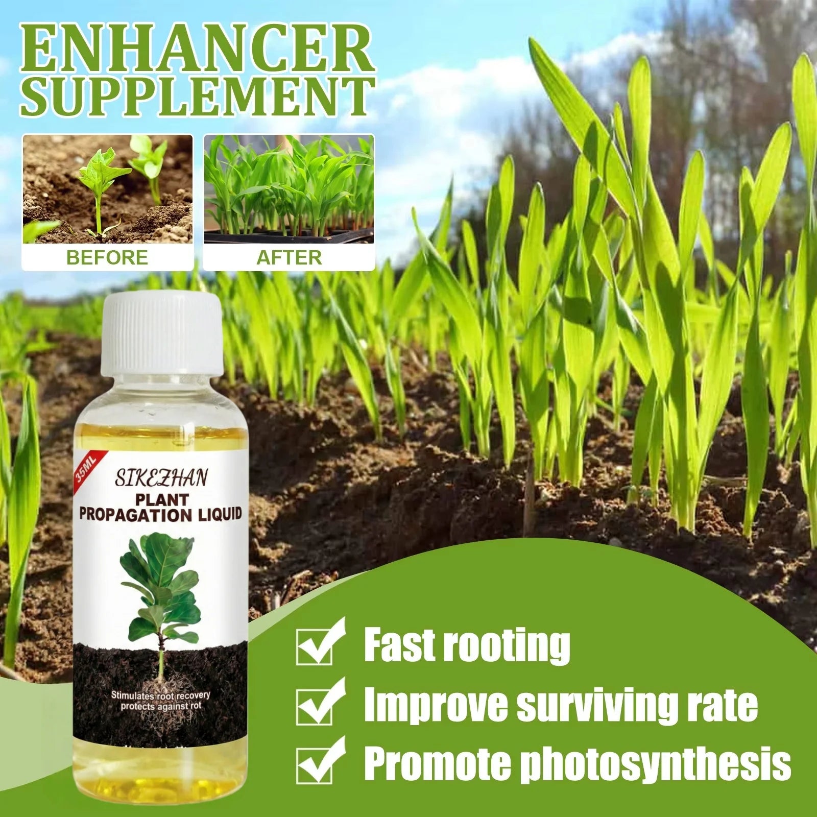 Rapid Rooting Liquid Hormone for Plants Propagation Solution Promote Root Growth Fertilizer Recovery for Struggling Houseplants Peaceful Pleasures Health and Wellness