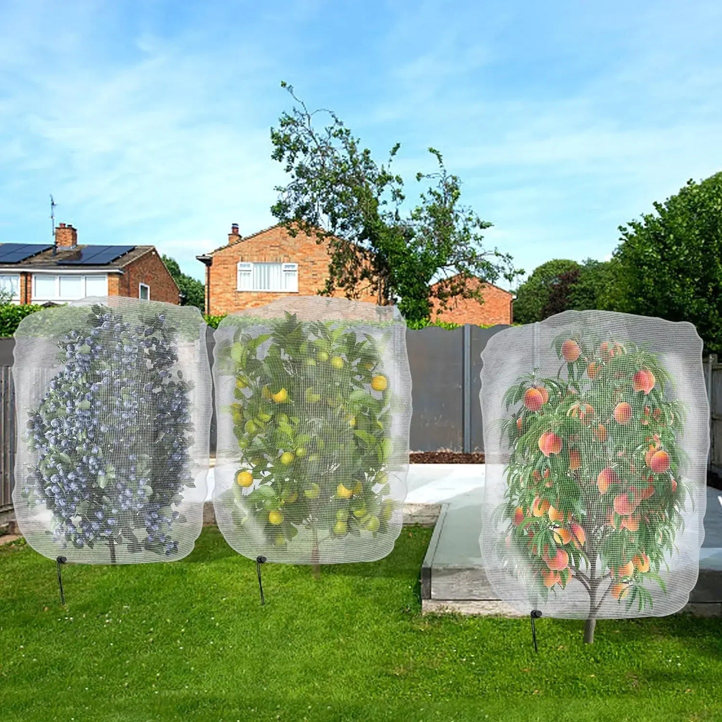 Fruit Tree Insect & Bird Net Cover | Garden Crop Protection