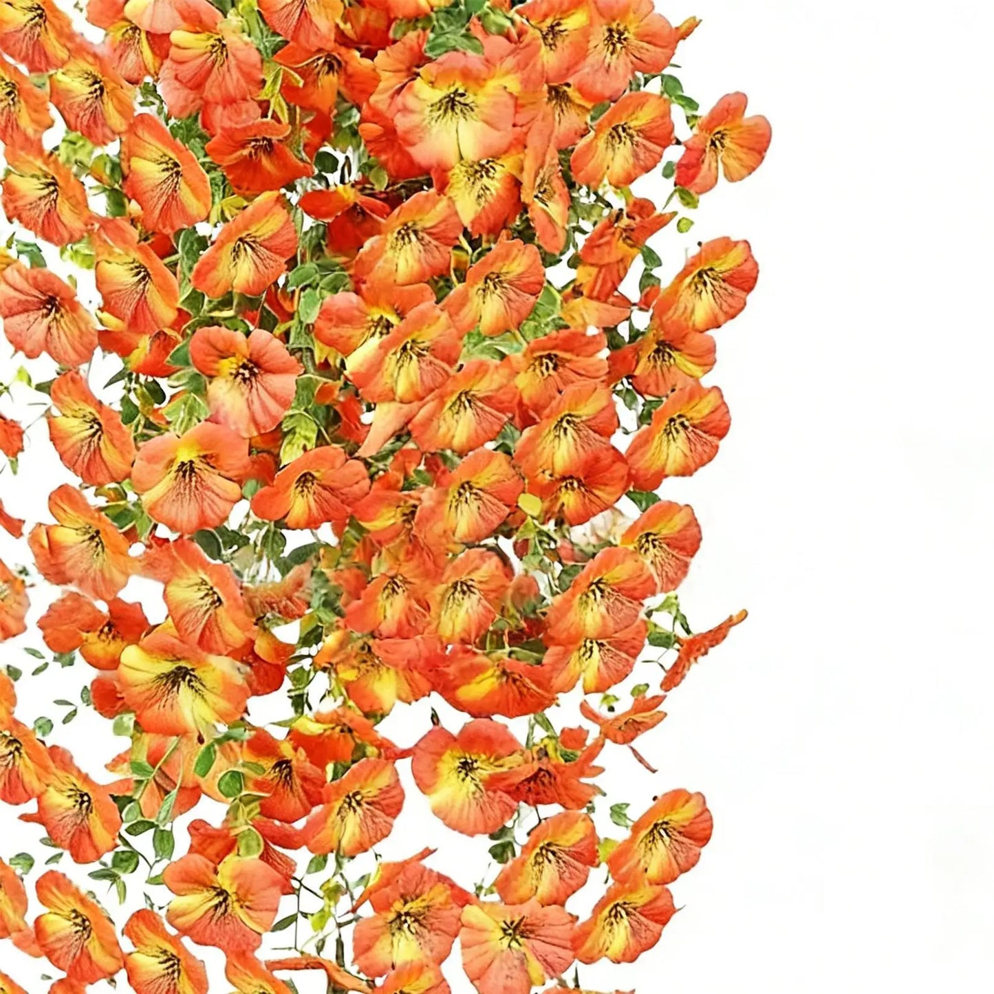 2Pcs Artificial Hanging Flower Vines | Faux Morning Glory Decor