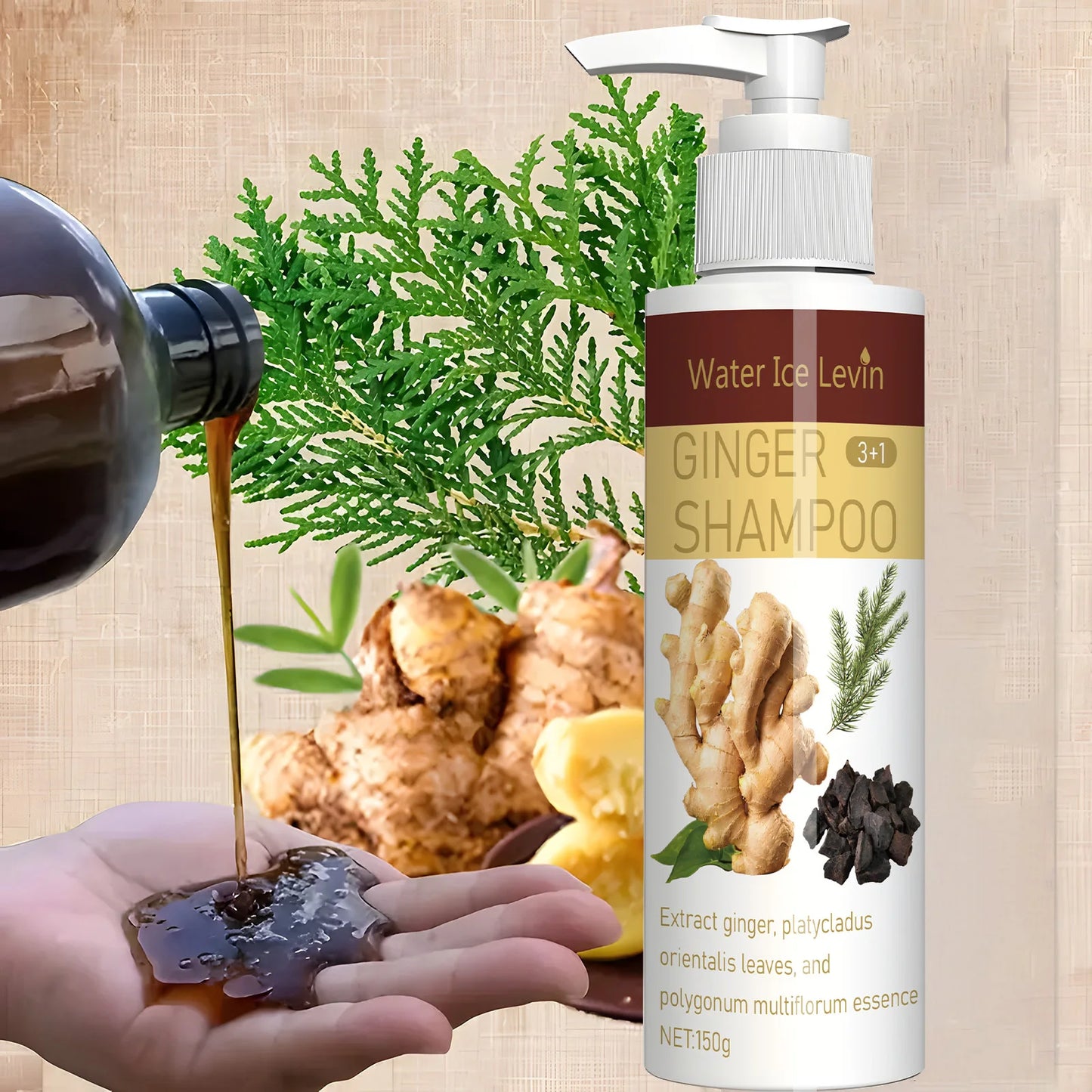 Ginger Regrowth Shampoo – Oil Control & Scalp Nourishment