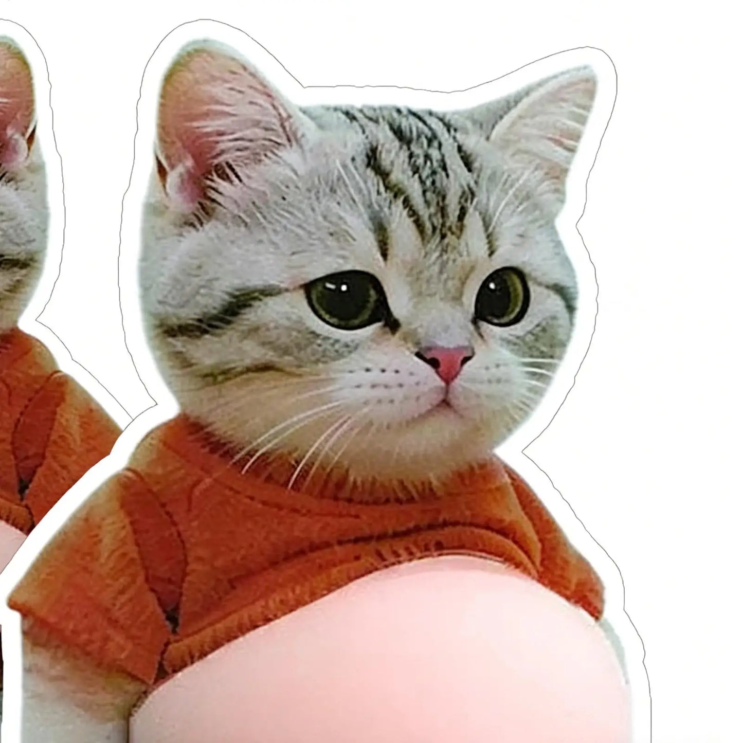 3D Cat Belly Squeeze Sticker – Cartoon Phone & Home Decor