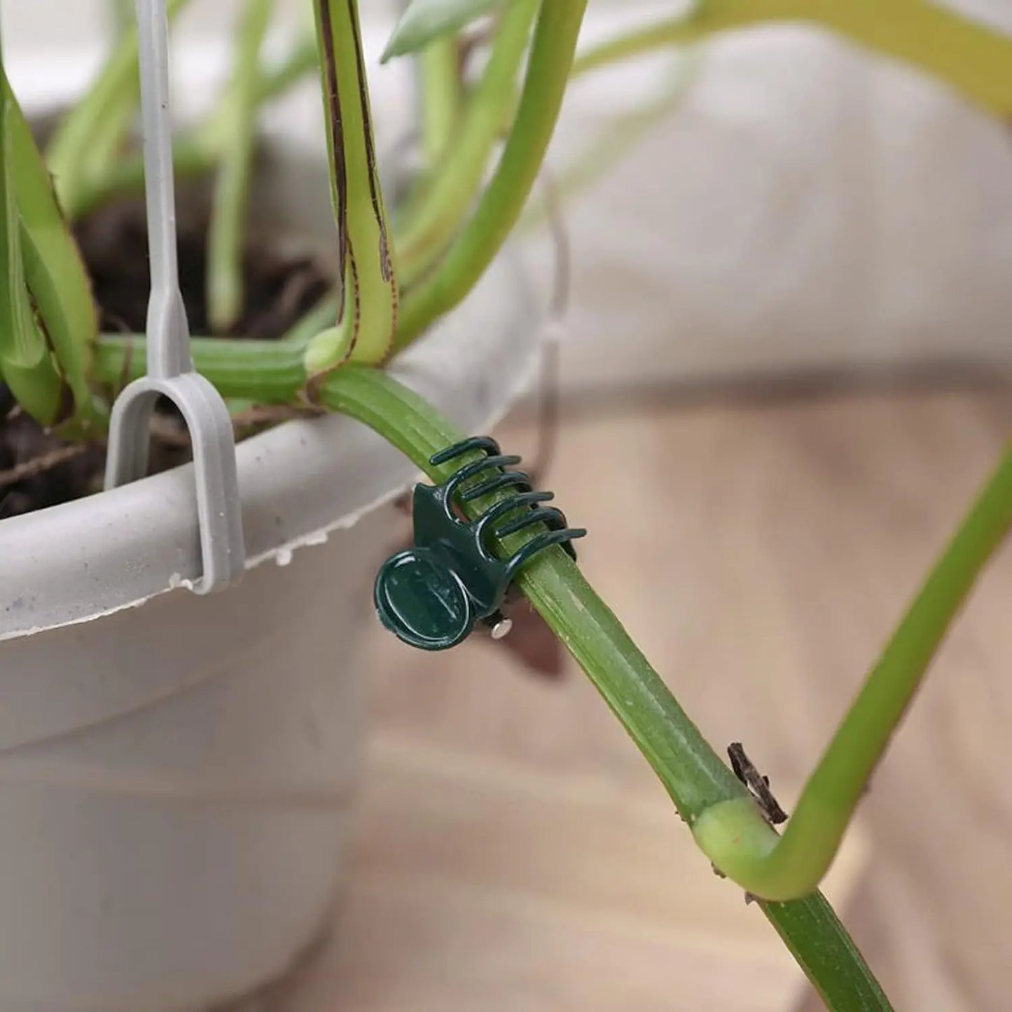 100pcs Garden Plant Clips Plastic Support Orchid Stem Clip for Vine Vegetables Flower Tied Bundle Branch Clamping Garden Tool Peaceful Pleasures Health and Wellness