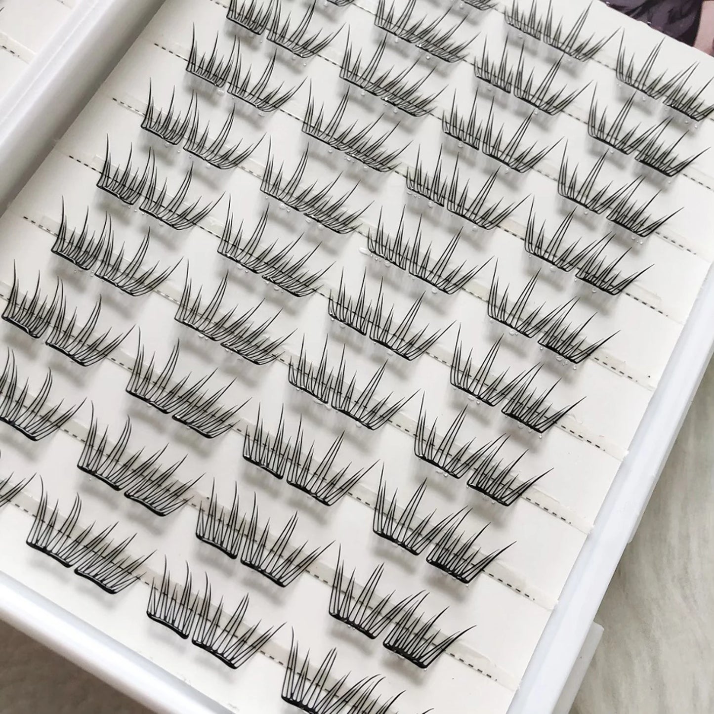 Korean Butterfly Cluster False Eyelashes – Natural Long & Thick