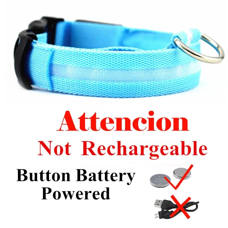 Colorful USB Rechargeable Pet Dog LED Glowing Collar Luminous Flashing Necklace Outdoor Walking Night Safety Supplies DC05 Peaceful Pleasures Health and Wellness Blue Battery S(35-43cm)