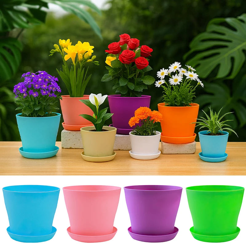 5-Size Round Plastic Planter Pots with Tray | Succulents & Bonsai