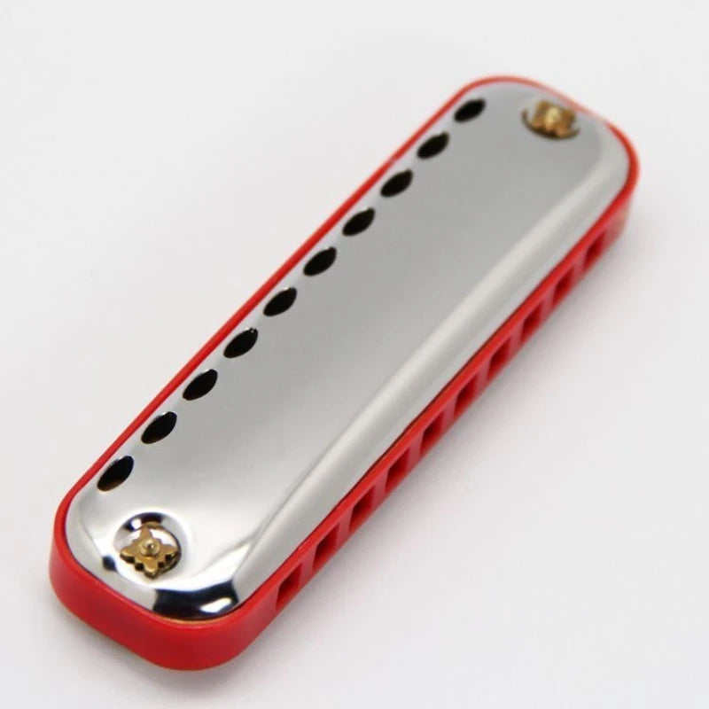 10-Hole Blues Harmonica Key C Adult Beginner Pocket Instrument Gray