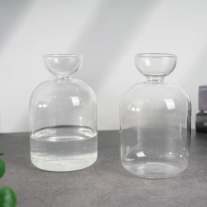 Avocado Seed Starter Glass Vase – Hydroponic Planter Kit