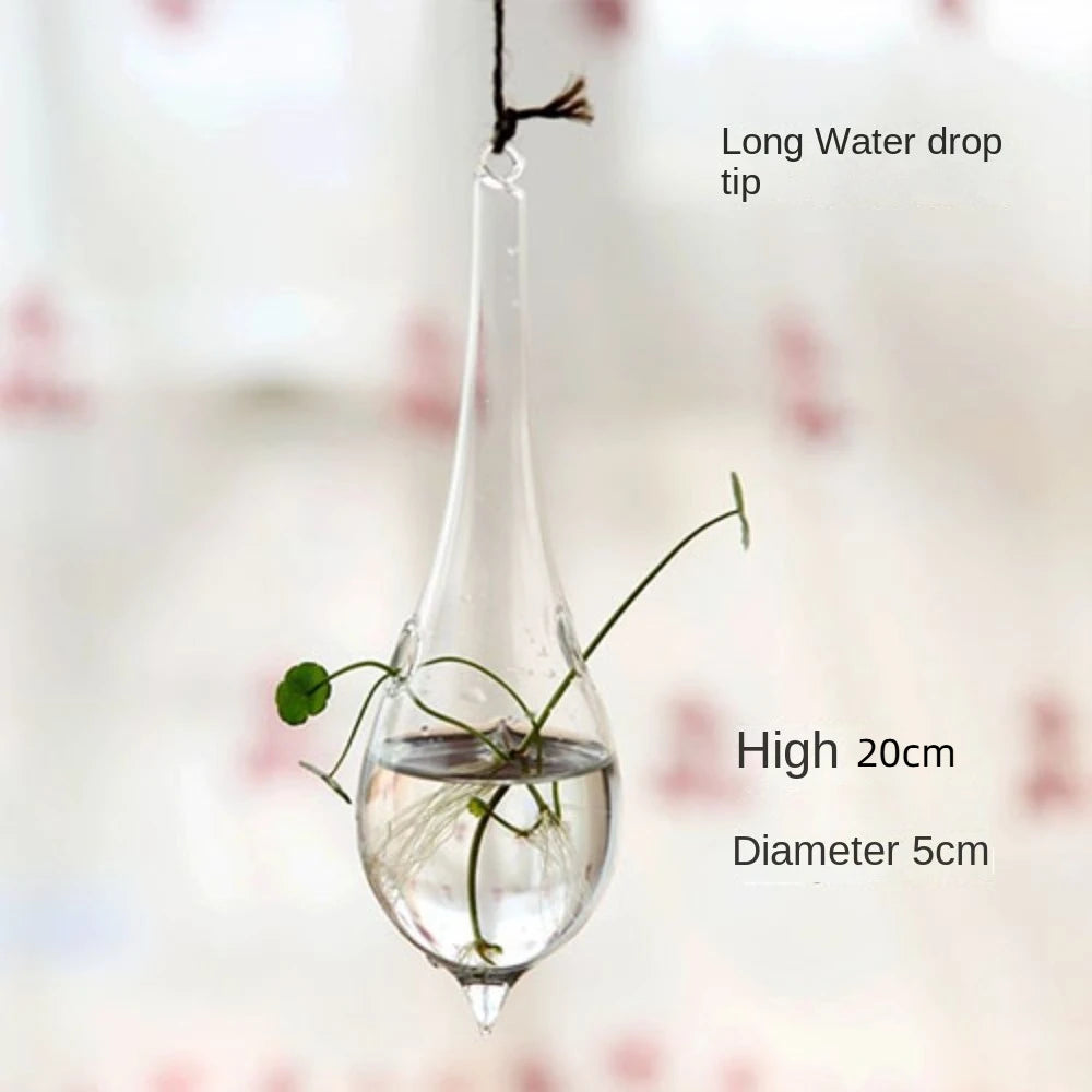 Hanging Glass Terrarium Vase | Hydroponic Plant Pot Decor