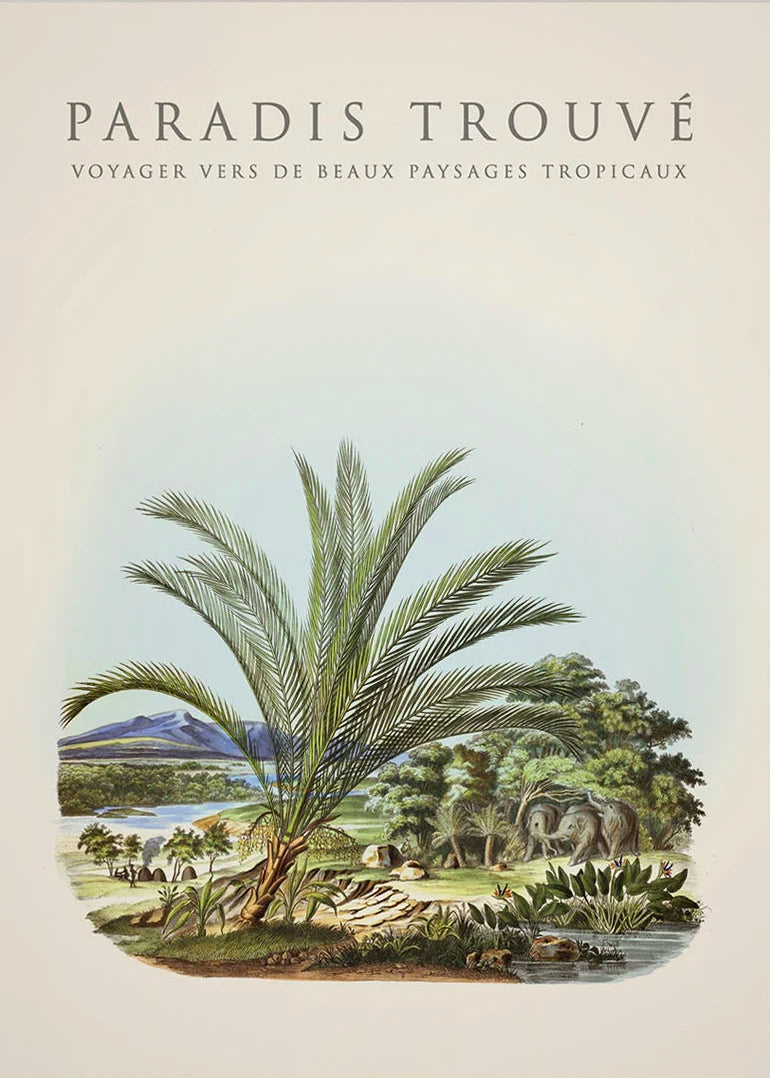 Tropical Palm & Banana Tree Vintage Botanical Canvas Wall Art Botanical Canvas Print Peaceful Pleasures Health and Wellness