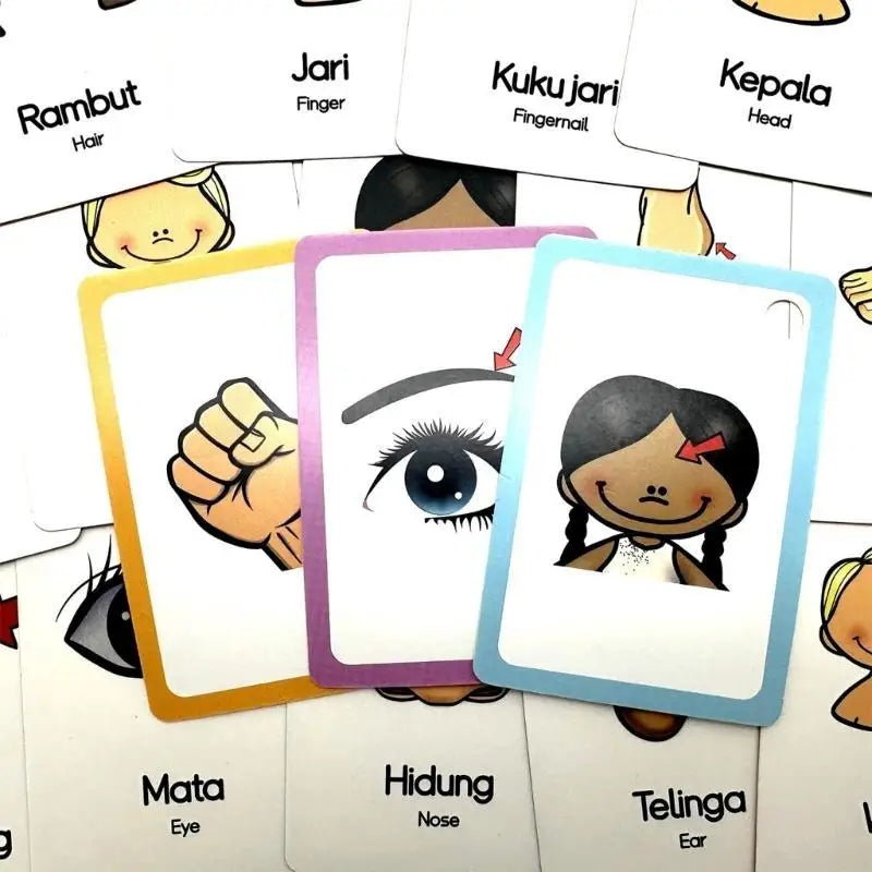 33-Piece Indonesian & English Bilingual Flashcards for Kids