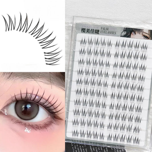 Natural Korean False Eyelash Clusters – Glue-Free DIY Lashes False Eyelash Clusters Peaceful Pleasures Health and Wellness