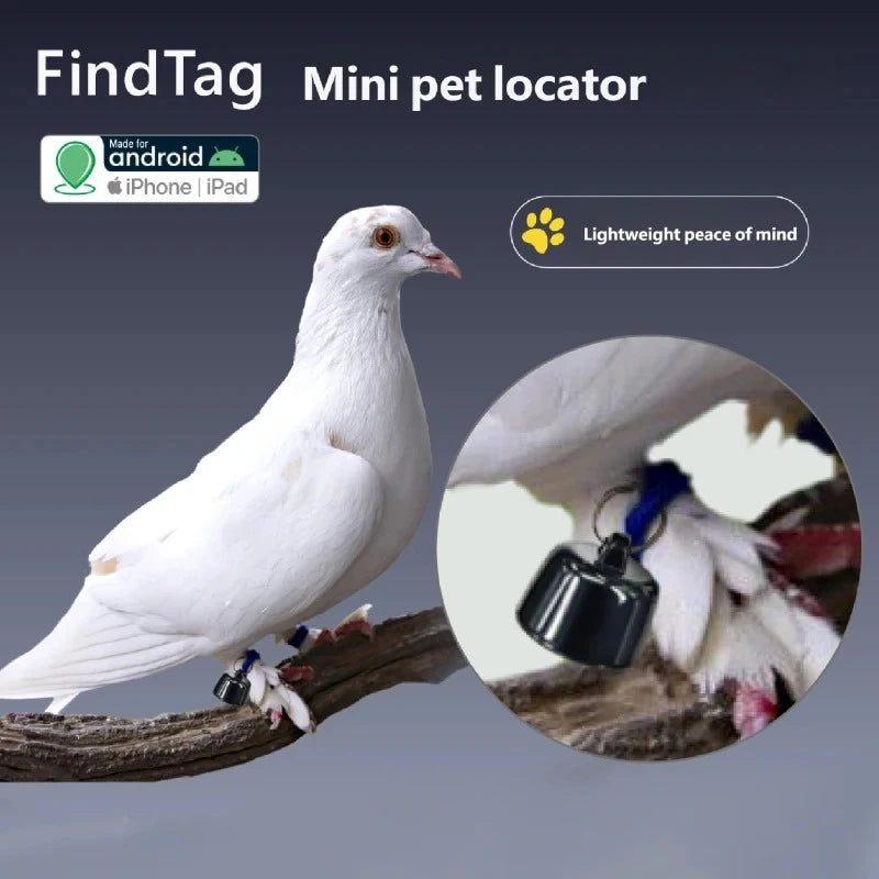 Mini GPS Pet Tracker Global Locator Compatible with Android iOS 3 Days Movement View for Birds Dogs Cats Peaceful Pleasures Health and Wellness