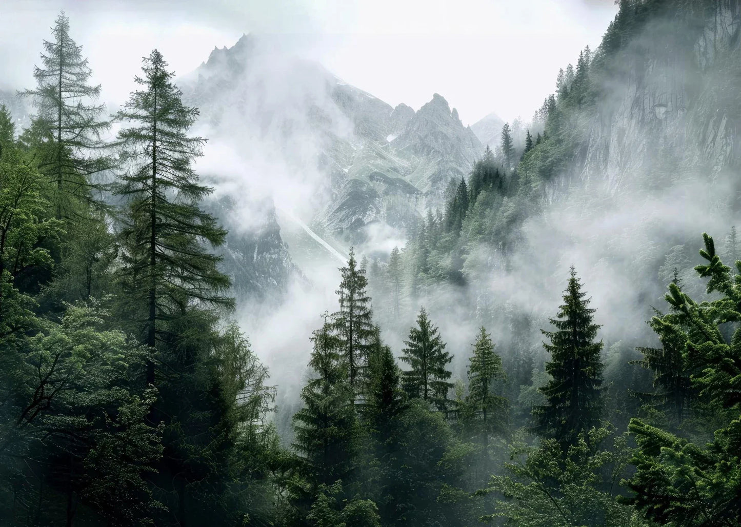 Foggy Green Forest Mountain Canvas Wall Art | Landscape Print