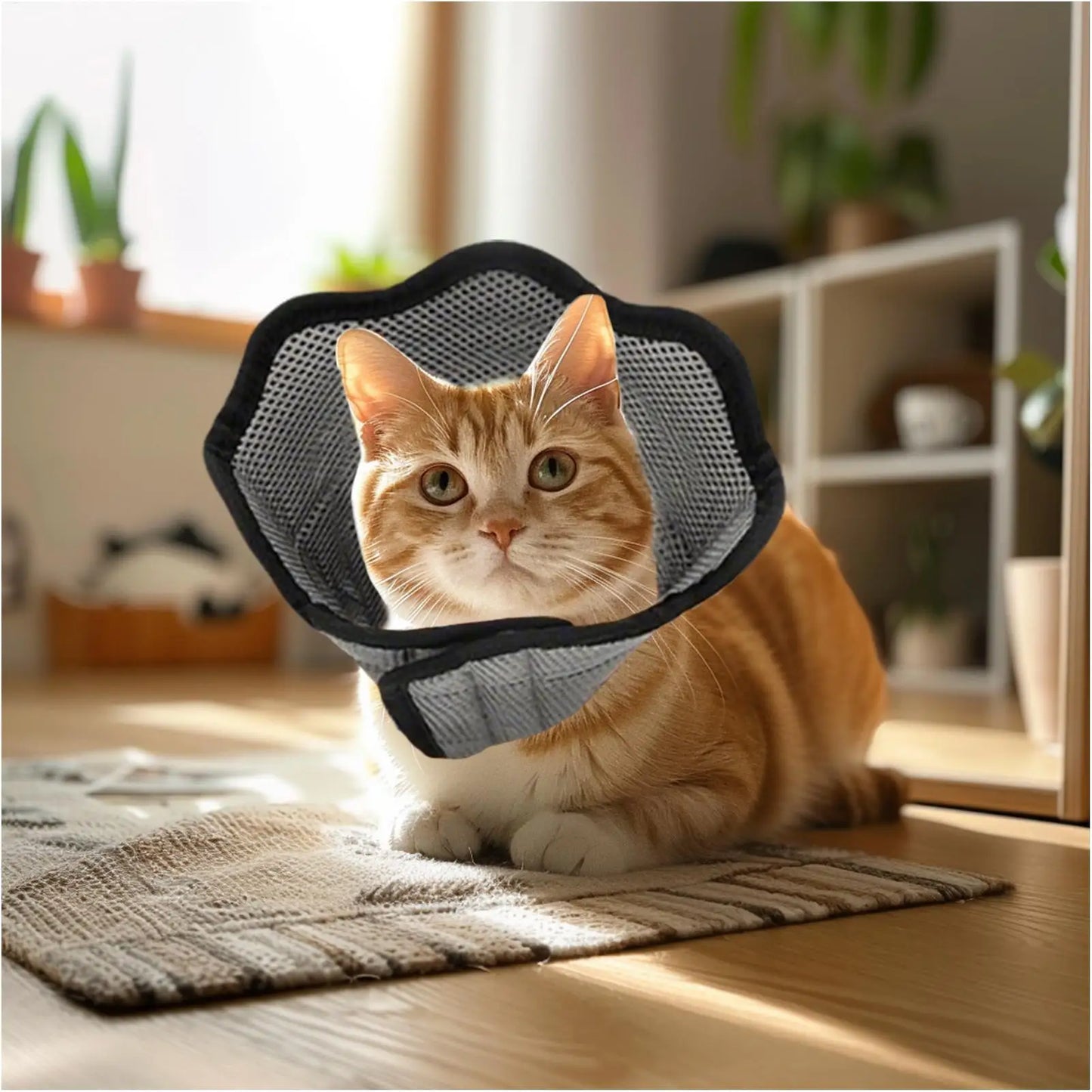Soft Breathable Dog Recovery Cone Collar | Adjustable Pet Cone