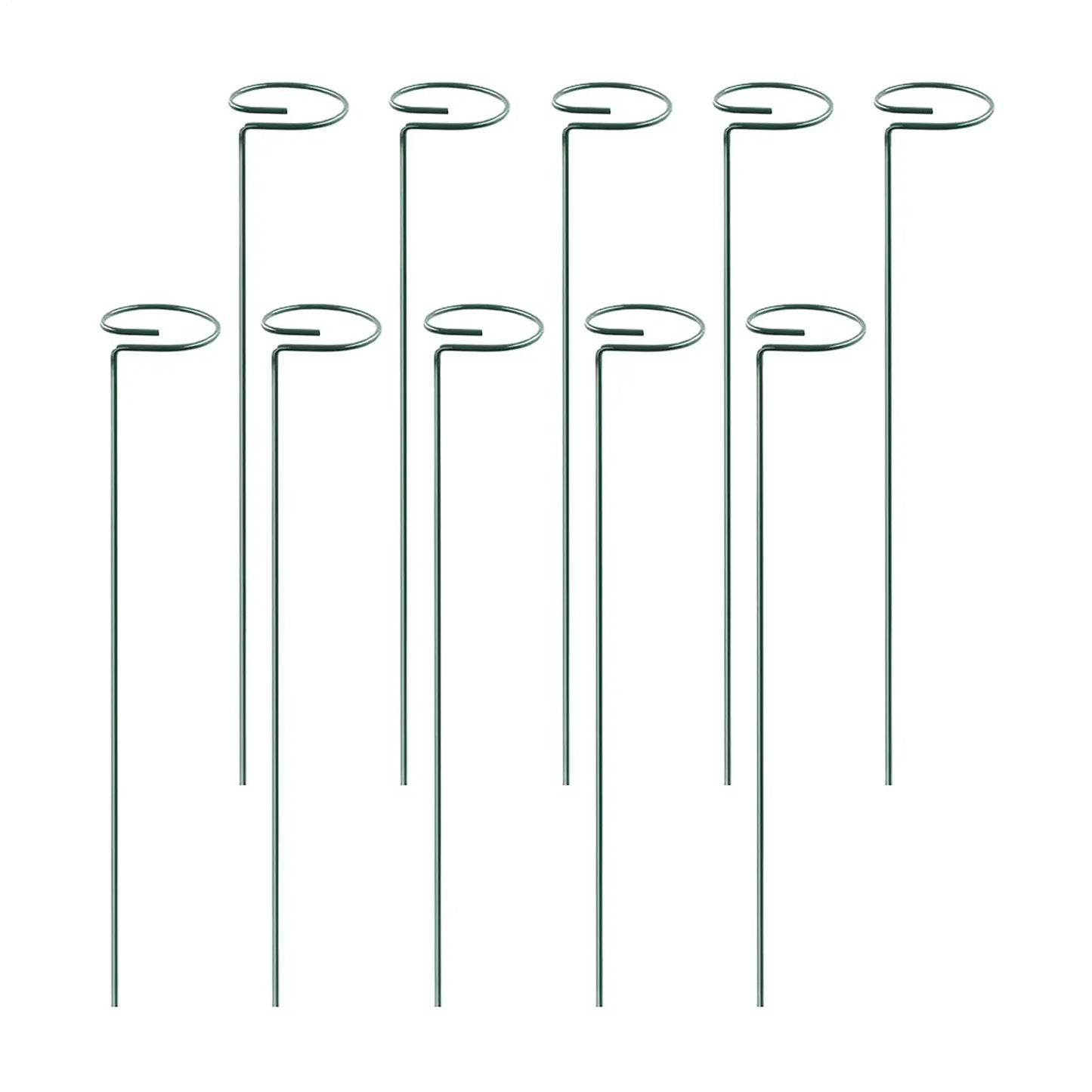 Reusable Ring Plant Stakes | Indoor & Outdoor Flower Support