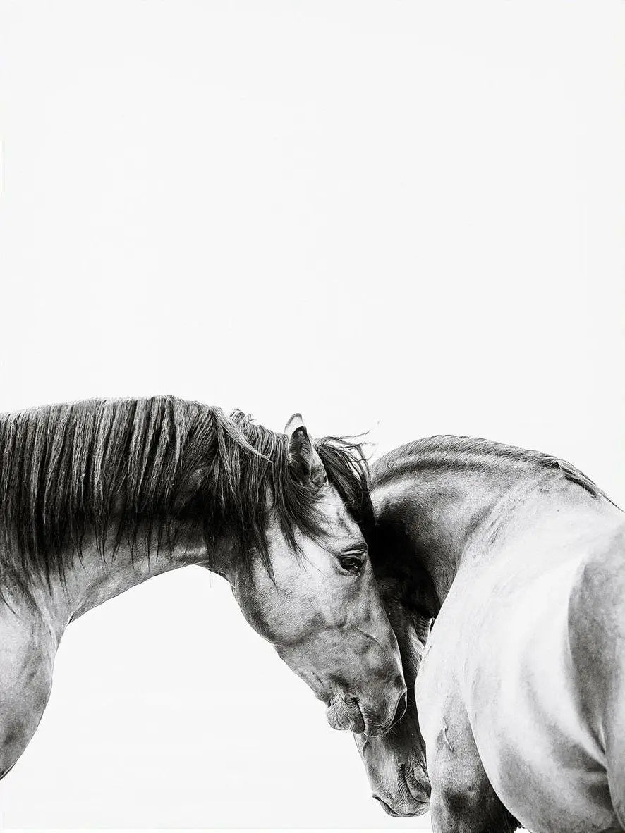 Black and White Horse Portrait Poster Print Canvas Painting Horses Running Animal Wall Picture for Farmhouse Room Home Decor Peaceful Pleasures Health and Wellness