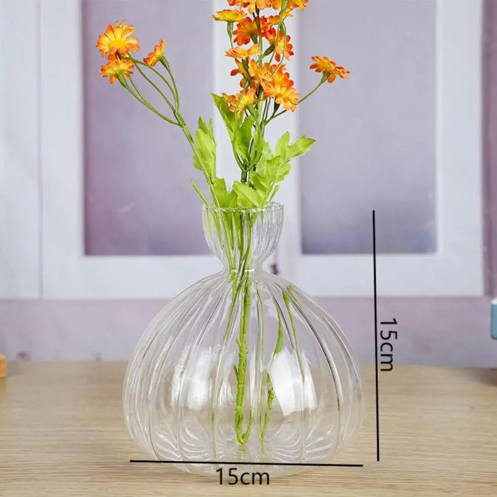 Avocado Seed Starter Glass Vase Growing Kit | Gift for Gardeners