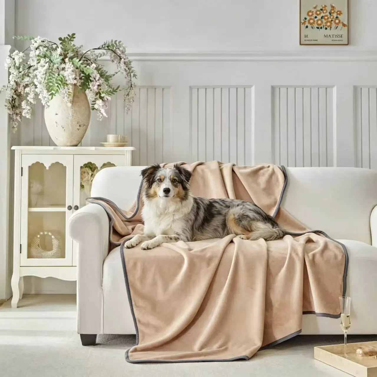 Waterproof Pet Blanket Furniture Protector | Couch Throw