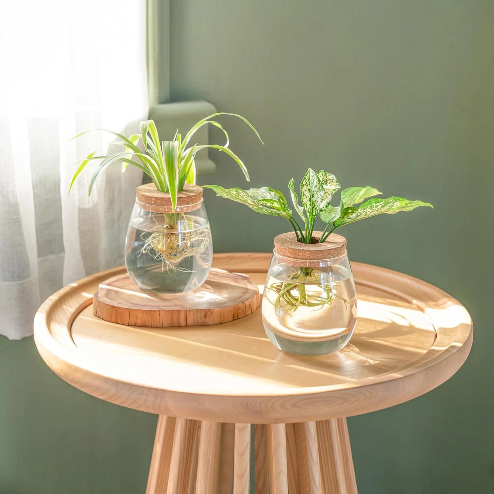 Plant Terrarium Transparent Vase Desktop Propagation Stations Glass Planter For Office Home Garden Decor Peaceful Pleasures Health and Wellness