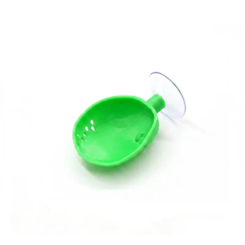Shell Shaped Betta Feeding Dish with Suction Cup | Tank Decor Aquarium Feeding Tray Peaceful Pleasures Health and Wellness B