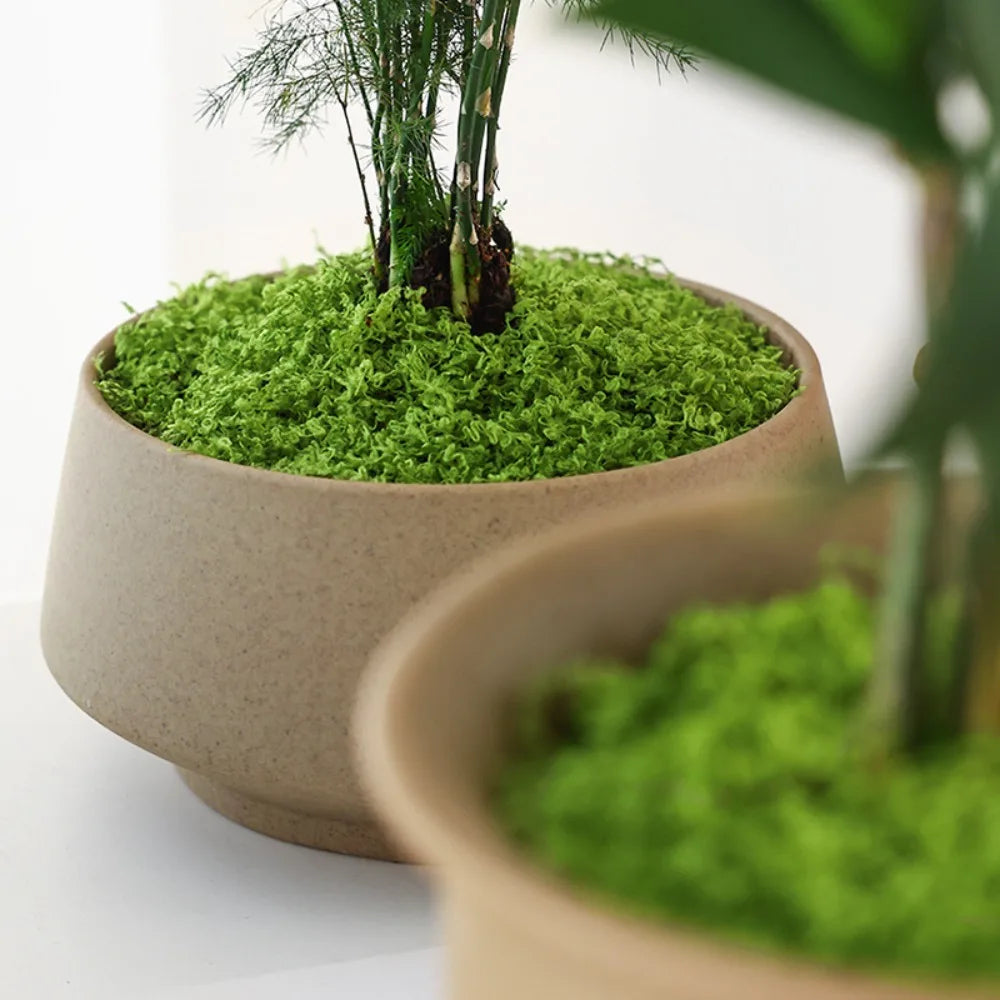 Artificial Filamentous Moss – DIY Miniature Landscape & Decor