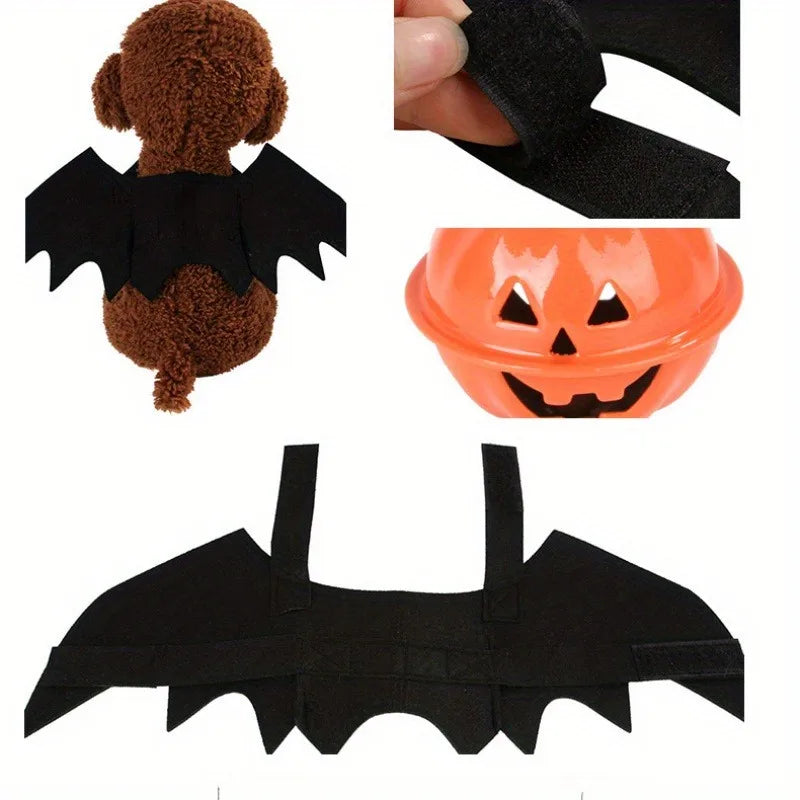 Halloween Bat Wing Pet Costume for Cats & Small Dogs