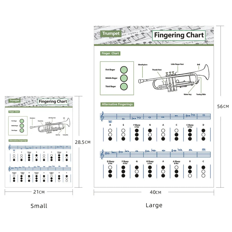 Compact Trumpet Diagrams Basic Fingering Chart Practice Tool