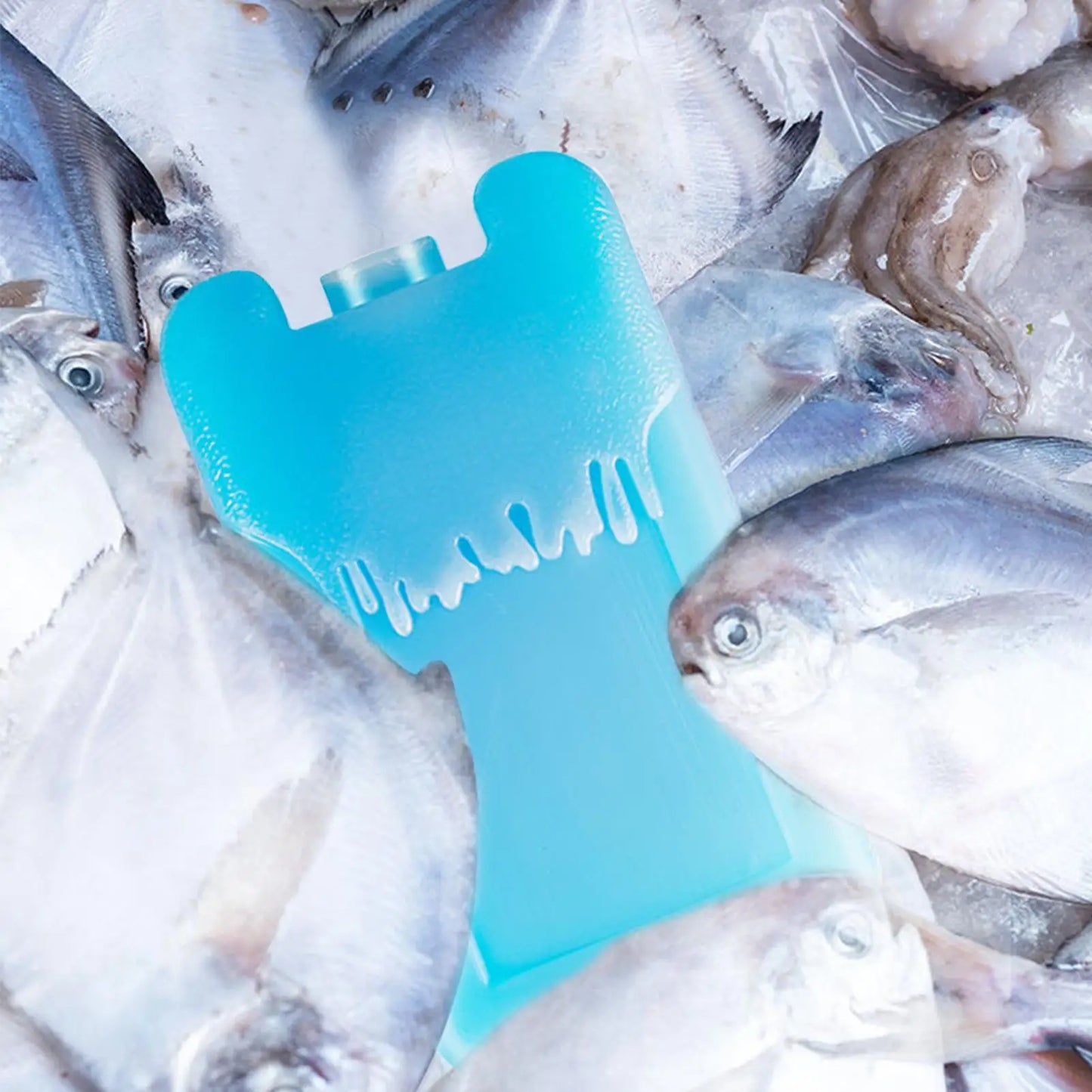Reusable Ice Packs 2-Pack | Long-Lasting Freezer Blocks