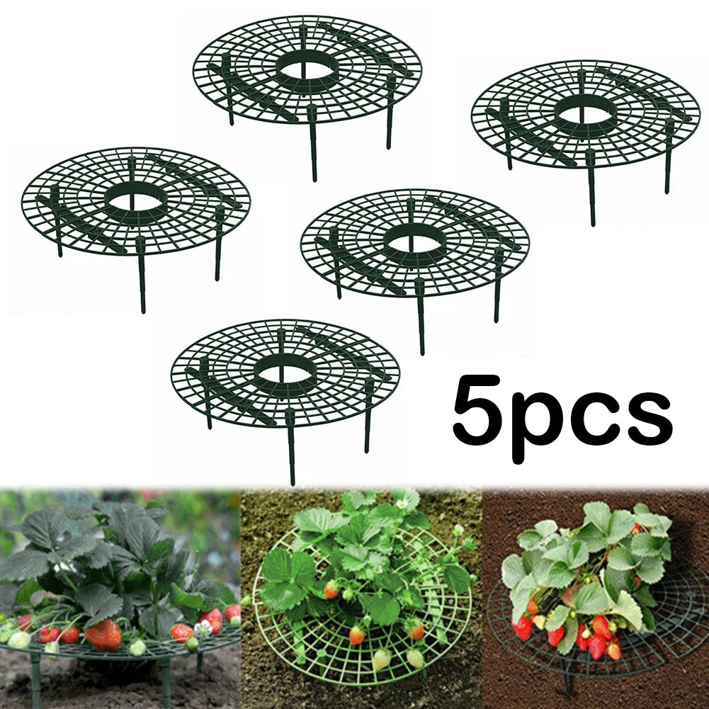 Strawberry Plant Supports – Elevated Fruit Stand | 4-Leg Design Peaceful Pleasures Health and Wellness