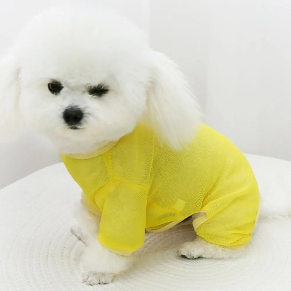 Mesh Dog Sun Vest – Breathable Summer Jacket with D-Ring