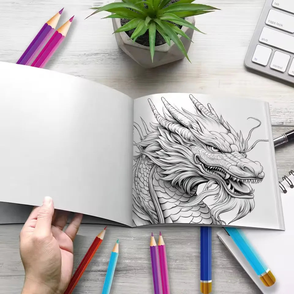 Dragon Coloring Book 20 Pages Adult Picture Animals Drawings Creative